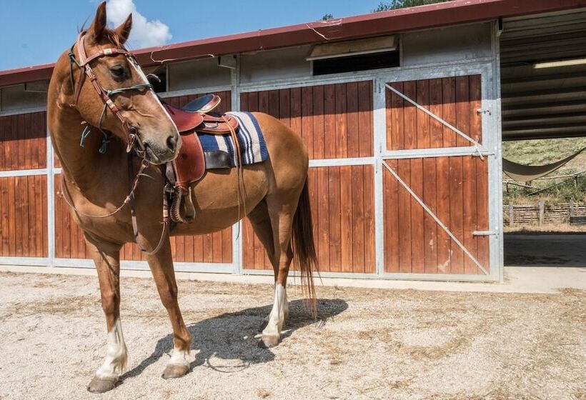 בית מלון כפרי Agriturismo Goccia Di Luna