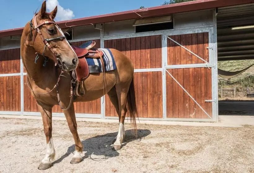 酒店 Agriturismo Goccia Di Luna