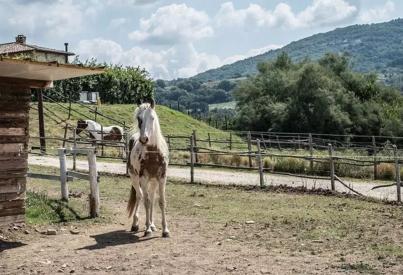 酒店 Agriturismo Goccia Di Luna