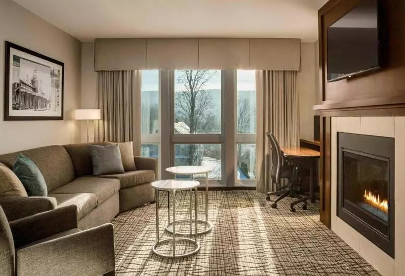 ホテル Fairfield By Marriott Waterbury Stowe