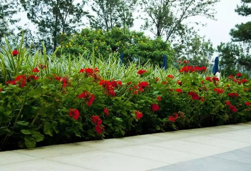 هتل Gorillas Golf