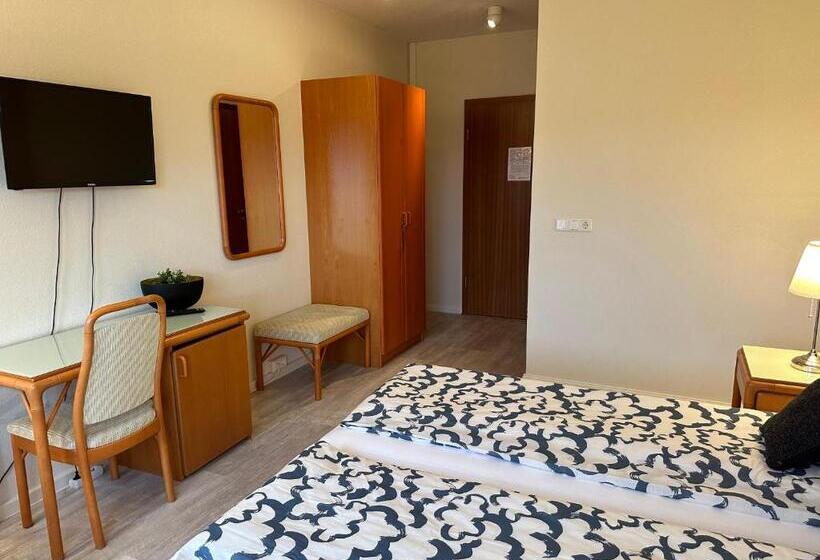 בית מלון כפרי North Star Staðarflöt