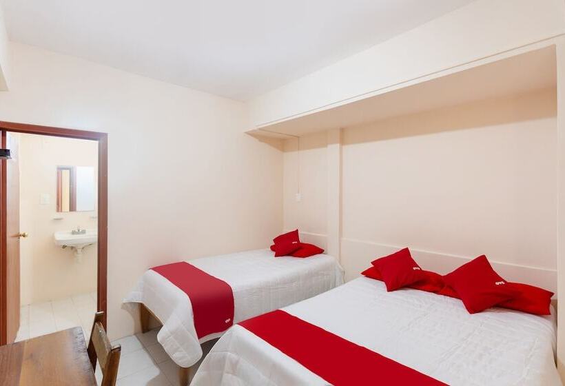 酒店 Rosa Del Alba