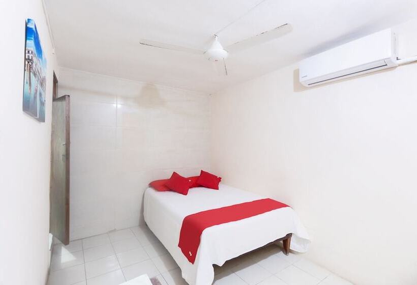 酒店 Rosa Del Alba