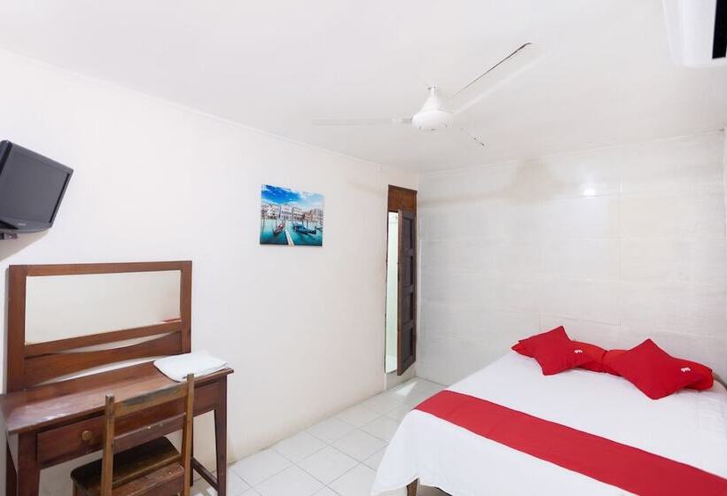 酒店 Rosa Del Alba