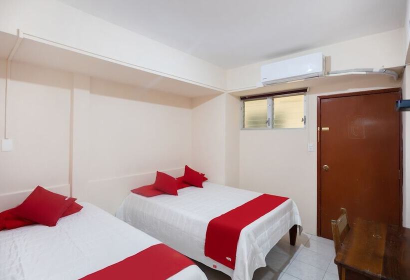 酒店 Rosa Del Alba