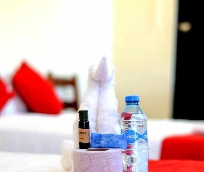 酒店 Rosa Del Alba