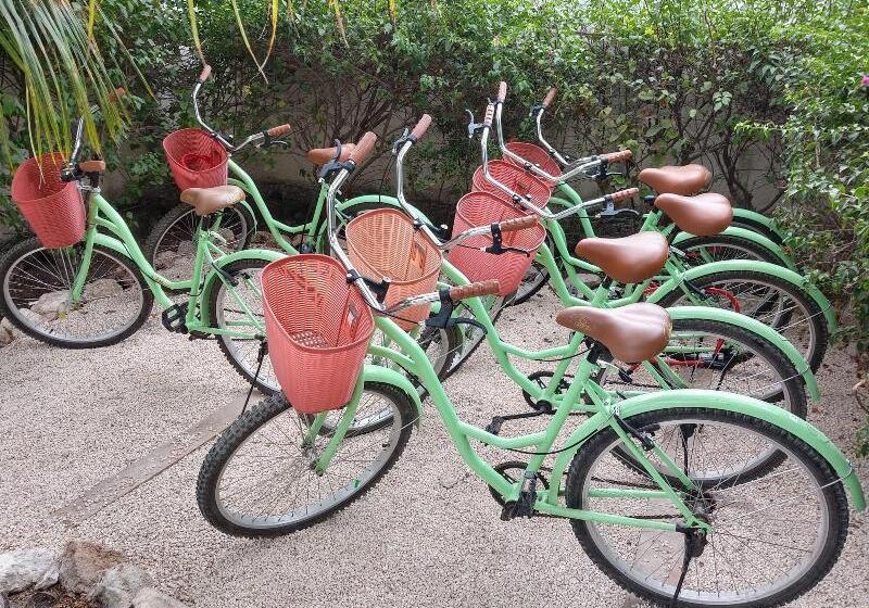 Szálloda Xscapetulum