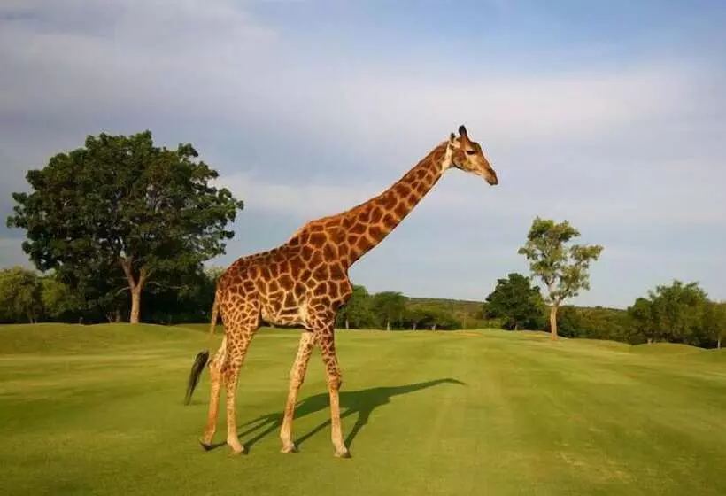 پانسیون Sunbird Lodge