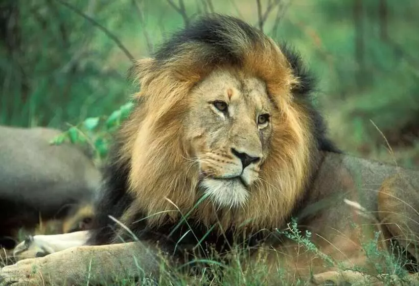 پانسیون Sunbird Lodge