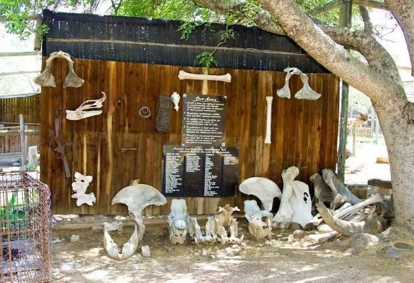 پانسیون Sunbird Lodge