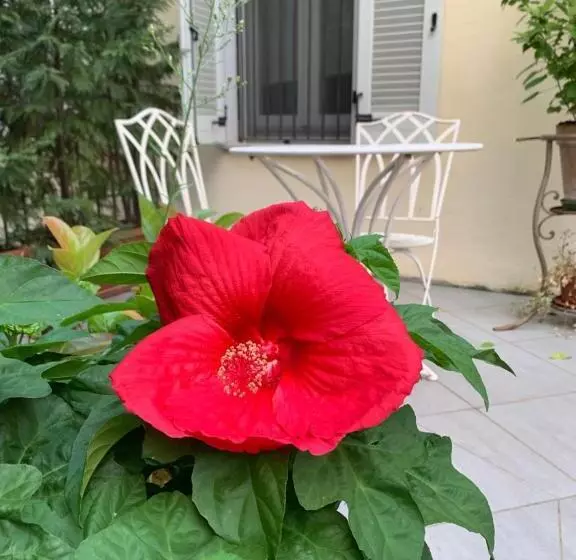 تختخواب و صبحانه La Terrazza Vercelli Bed & Charme