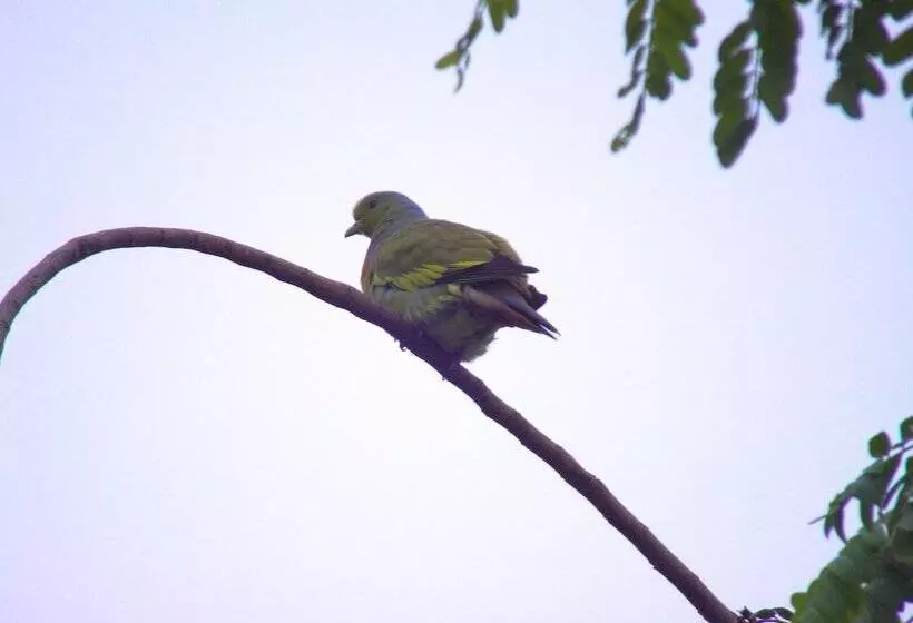 Heina Nature Resort & Yala Safari