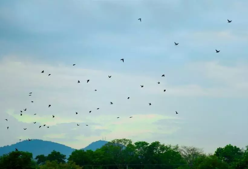 Heina Nature Resort & Yala Safari