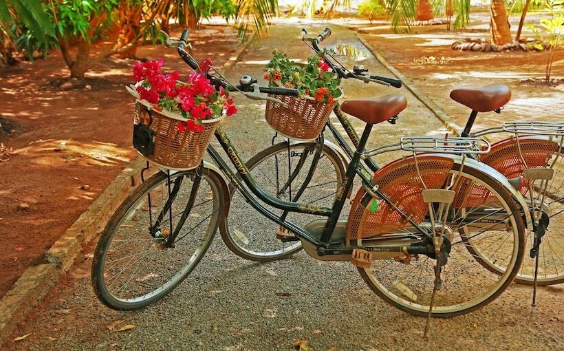 Heina Nature Resort & Yala Safari