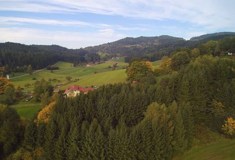 酒店 Bayerischer Wald