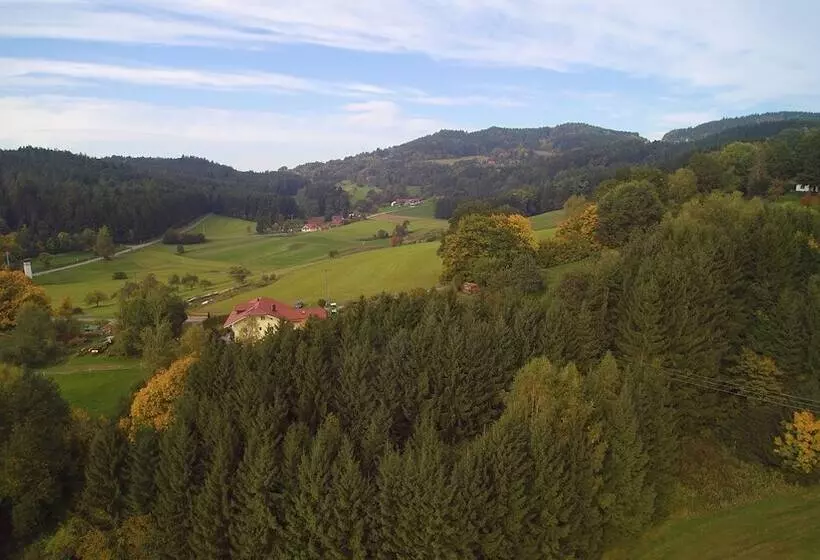 ホテル Bayerischer Wald