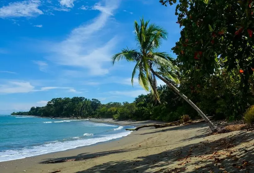 ホテル Blue Osa Beach Resort & Spa