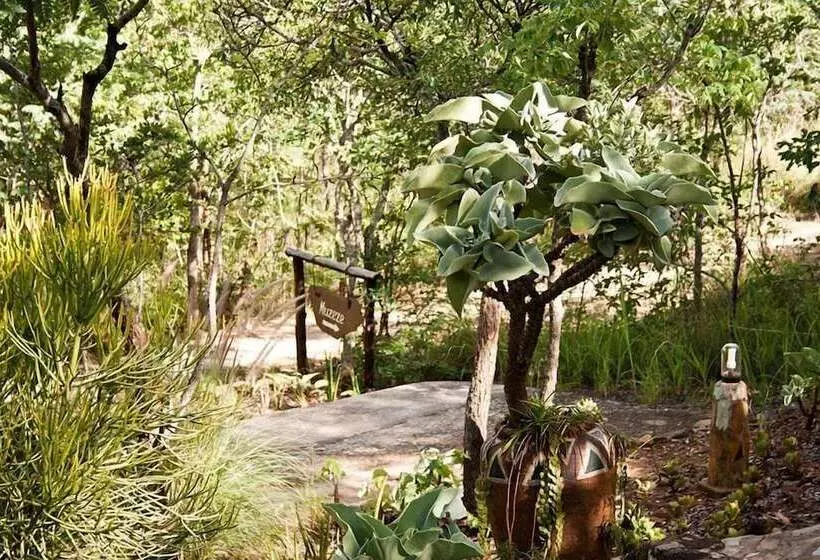 هتل Musangano Lodge