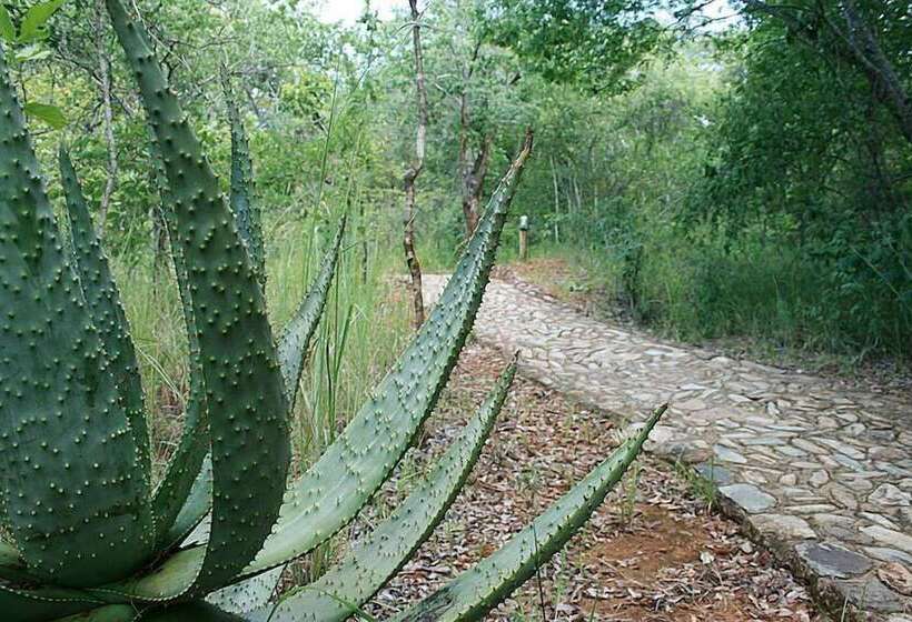 호텔 Musangano Lodge