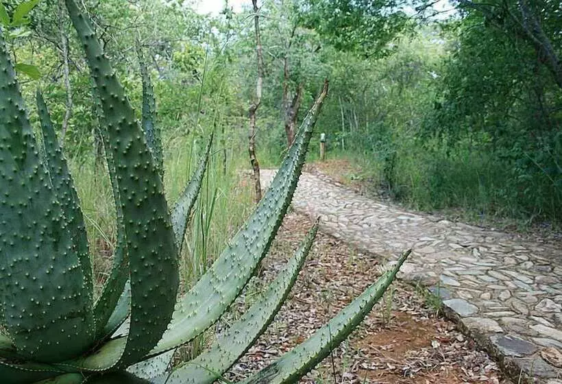 هتل Musangano Lodge