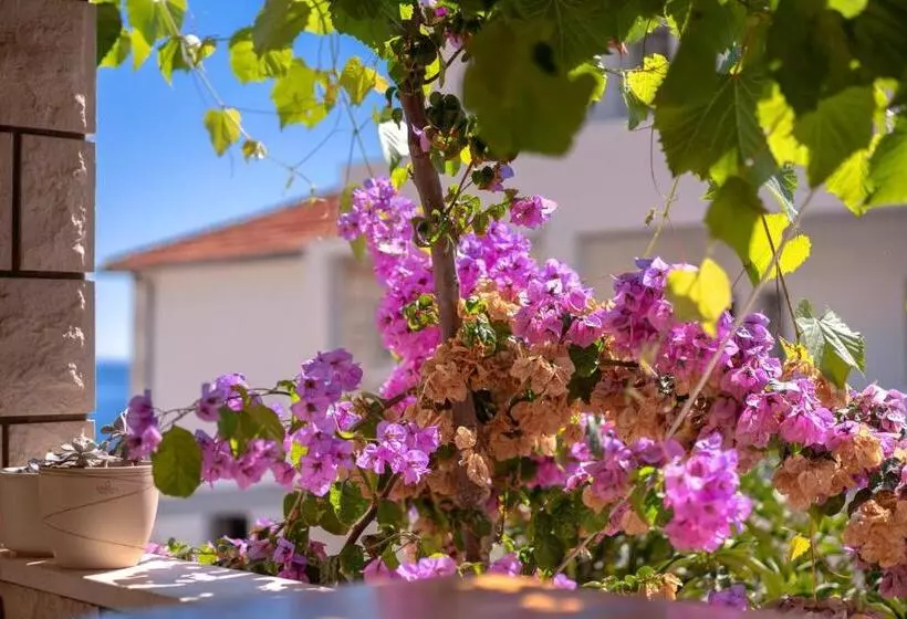 Отель Pansion Marjan