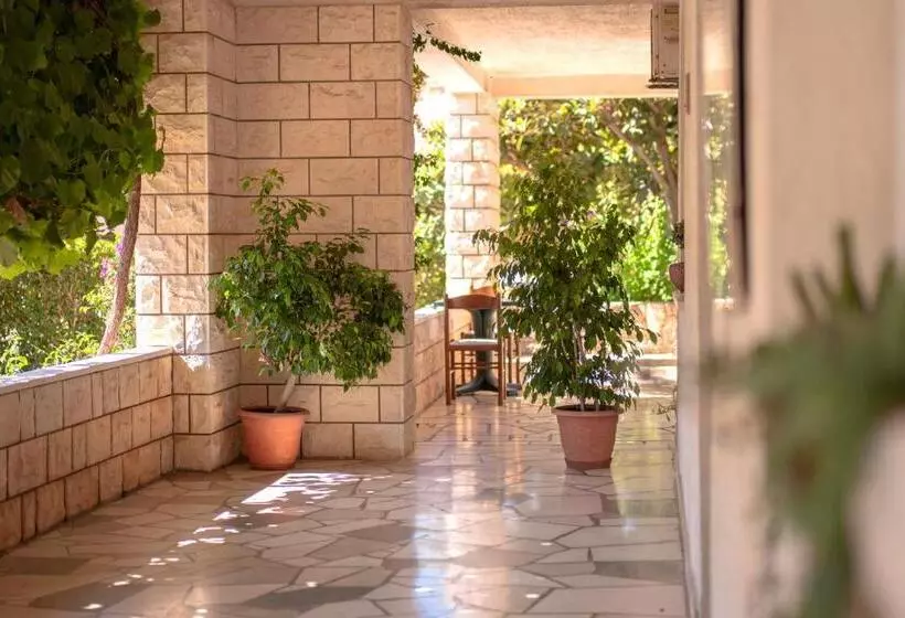 Отель Pansion Marjan