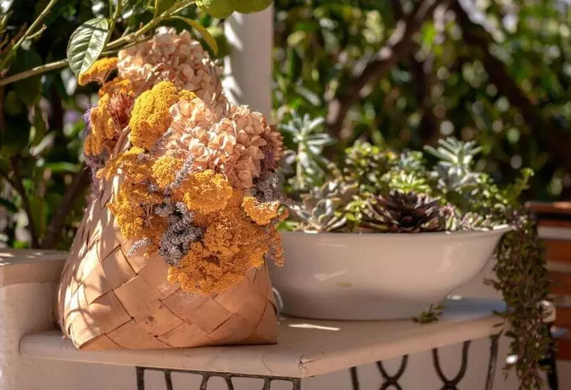 Отель Pansion Marjan