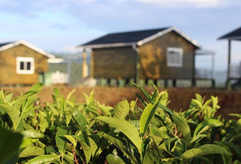 Hôtel The Secret Ella