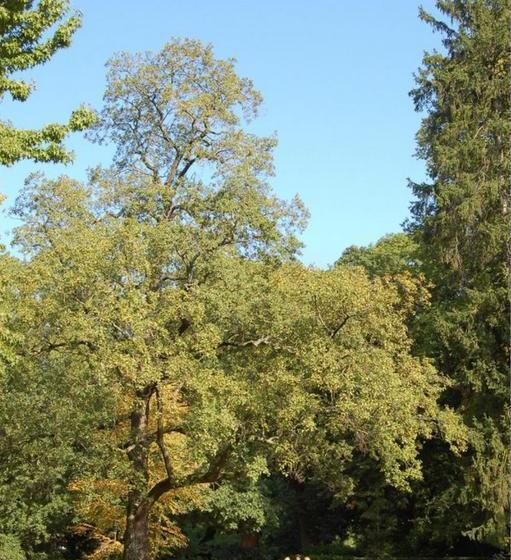 فندق Le Jardin Du Vendome