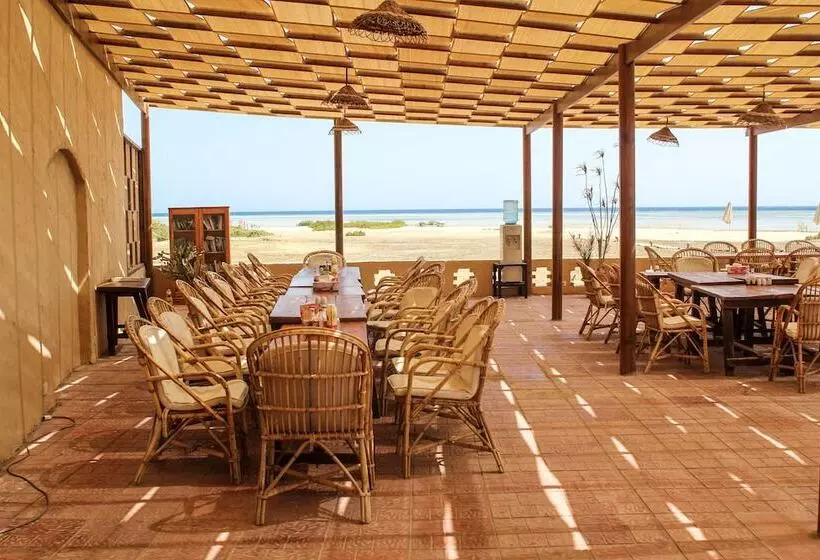 هتل Wadi Lahami Village