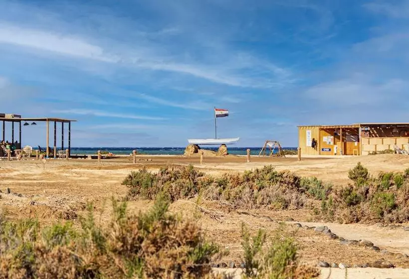 هتل Wadi Lahami Village