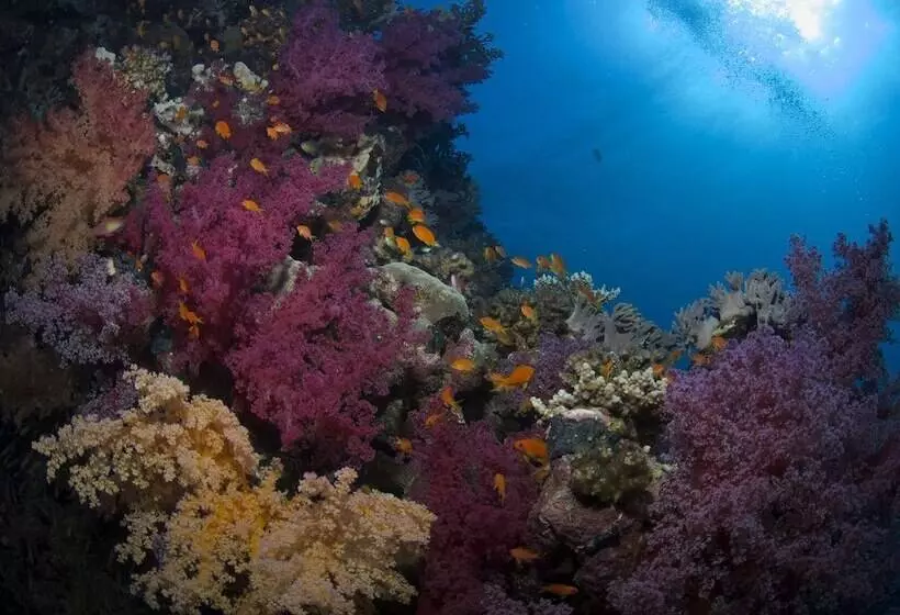 هتل Wadi Lahami Village