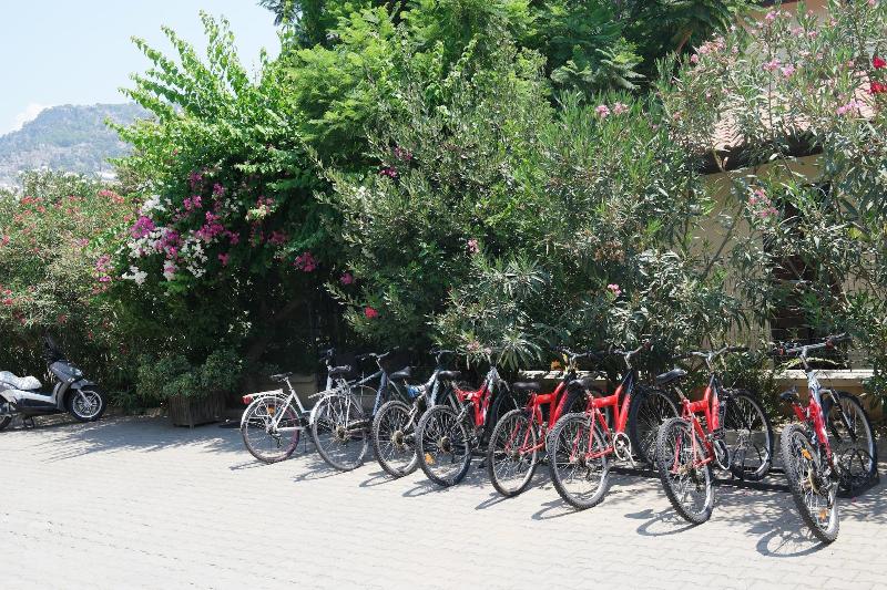 Mr. Dim Exclusive Apart