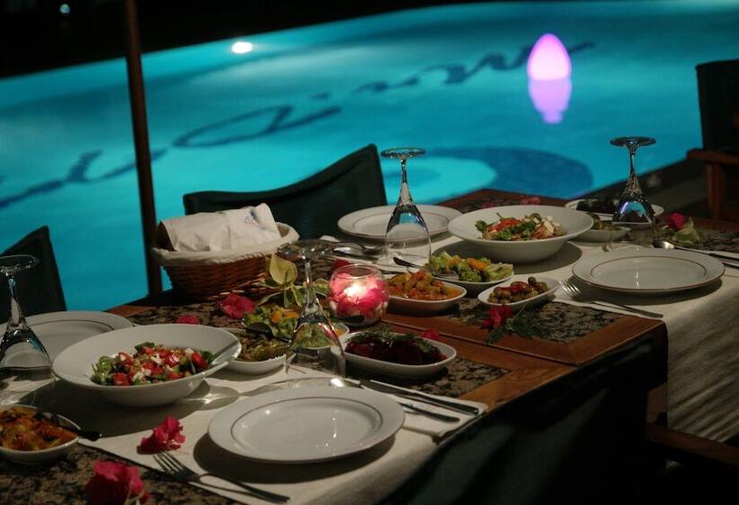 Mr. Dim Exclusive Apart