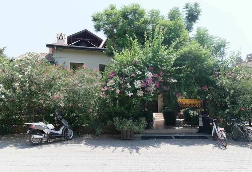 Mr. Dim Exclusive Apart