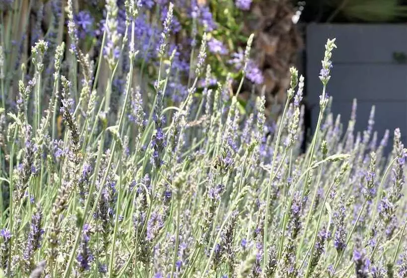 Pensionat Ginnegaap Guest House