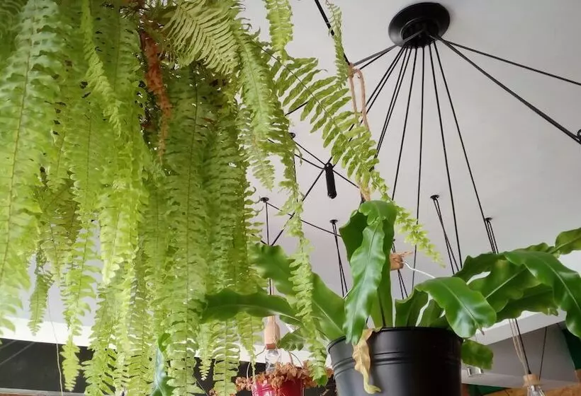 ペンション Re+wood Guesthouse