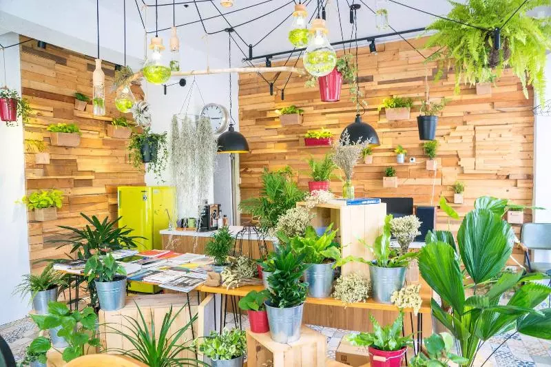 ペンション Re+wood Guesthouse