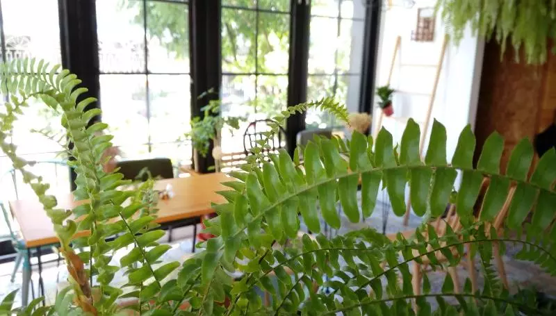 ペンション Re+wood Guesthouse