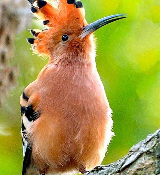 住宿加早餐 Aquanzi Lodge
