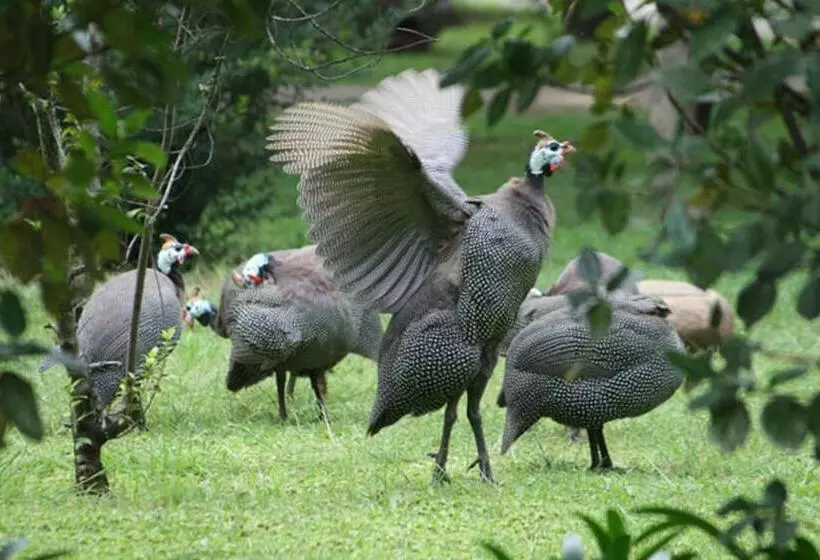 צימר Aquanzi Lodge