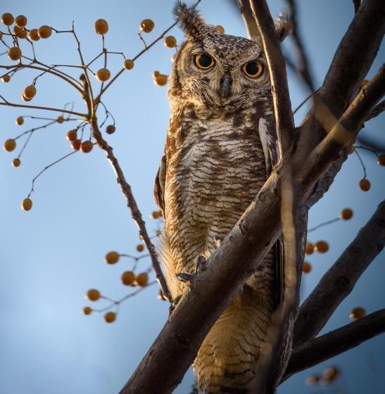 住宿加早餐 Aquanzi Lodge