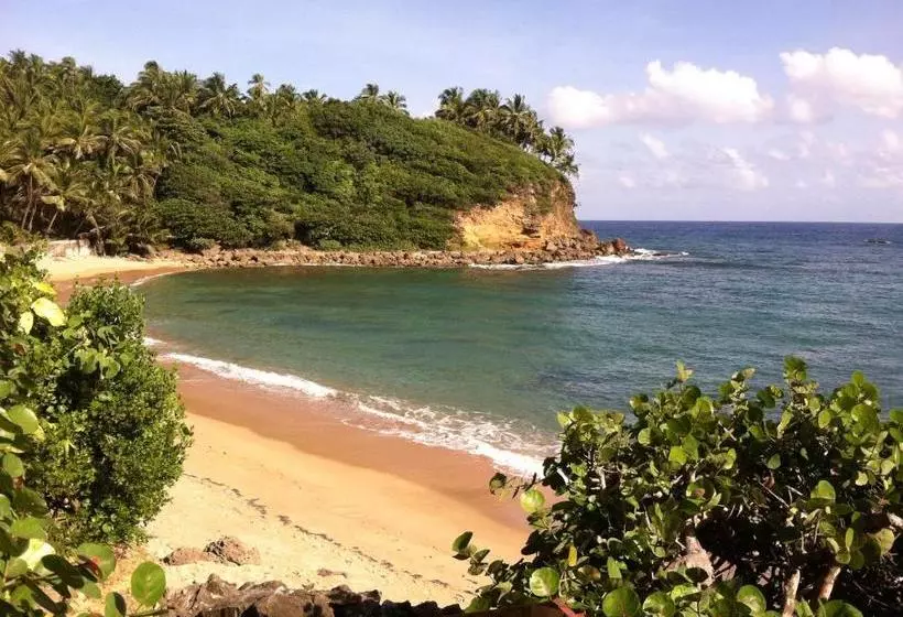 تختخواب و صبحانه Casita Del Mar
