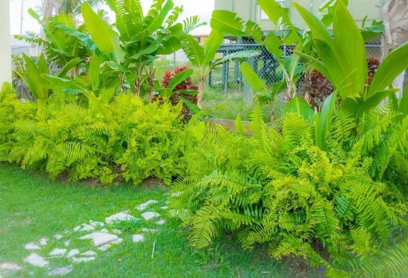 تختخواب و صبحانه Casita Del Mar