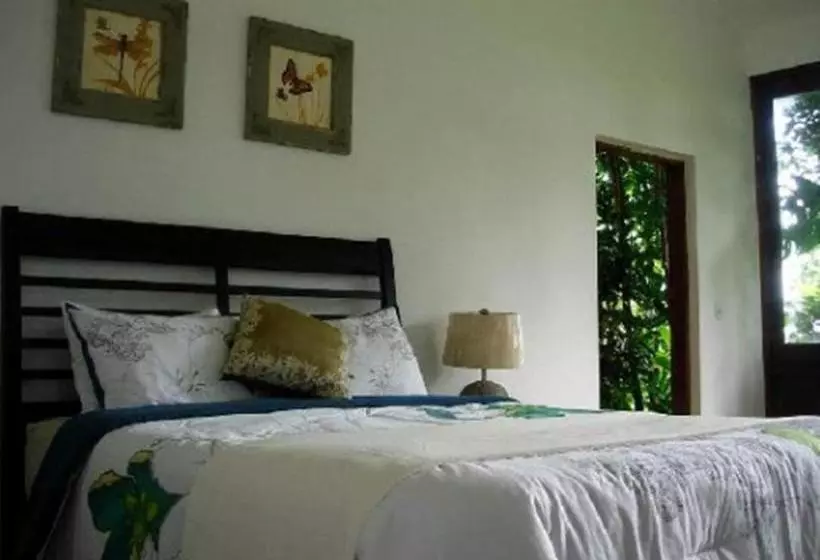 تختخواب و صبحانه El Ito At The Rainforest Experience Farm