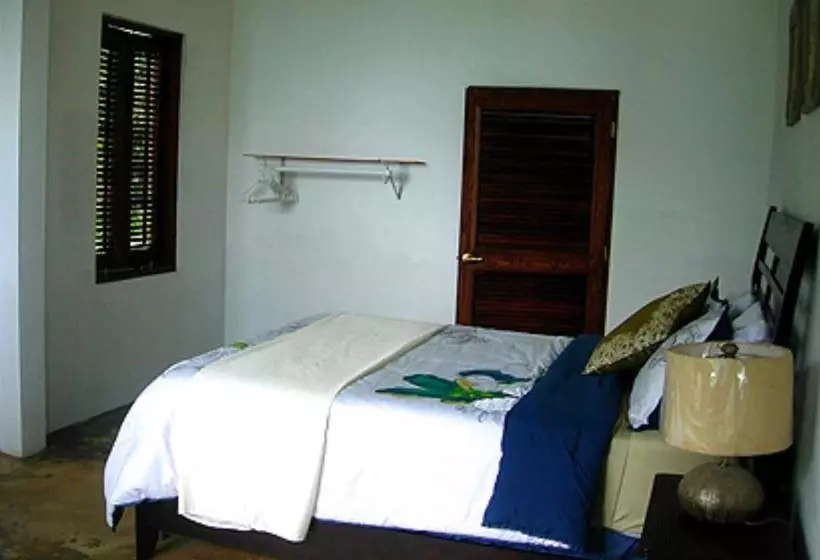 تختخواب و صبحانه El Ito At The Rainforest Experience Farm