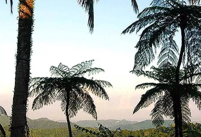 تختخواب و صبحانه El Ito At The Rainforest Experience Farm