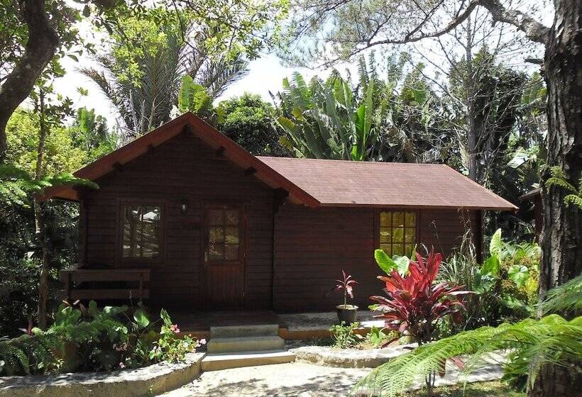 هتل Le Domaine De L’arbre Du Voyageur