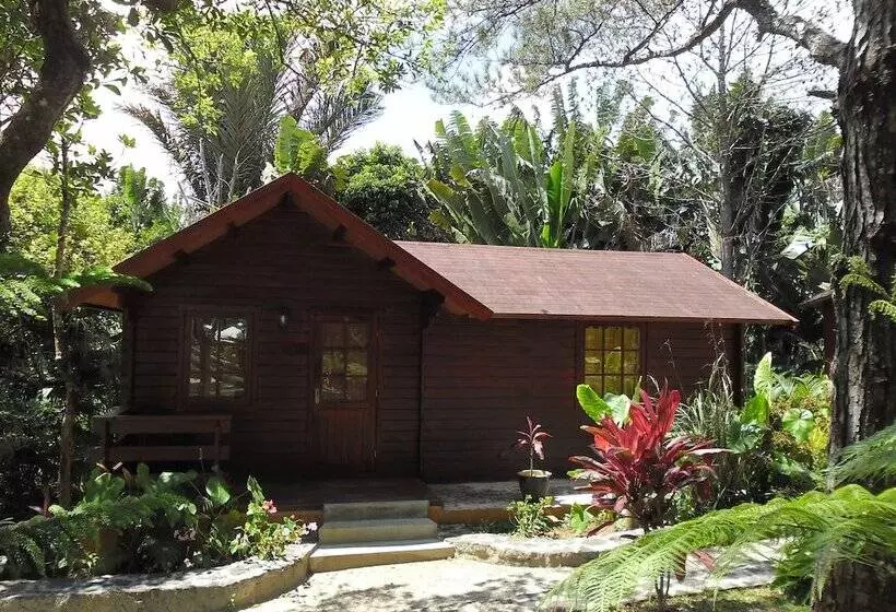 هتل Le Domaine De L’arbre Du Voyageur
